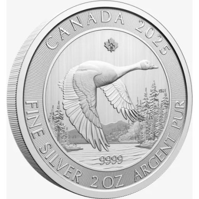 Gås - 2 Oz - Silverinvesteringsmynt