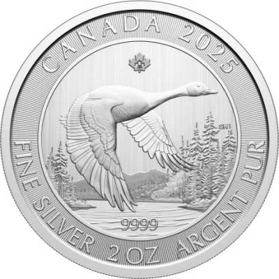 Gås - 2 Oz - Silverinvesteringsmynt