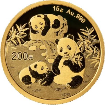 Panda (2025) - 15g - guldinvesteringsmynt