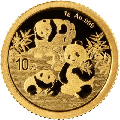 Panda (2025) - 1g - guldinvesteringsmynt