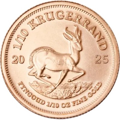 Krugerrand (2025) - 1/10 Oz - investeringsmynt i guld