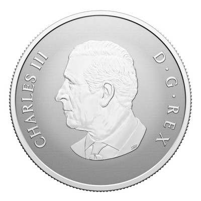 "Välkommen till världen" 2025 - 1/2 uns - presentmynt i silver