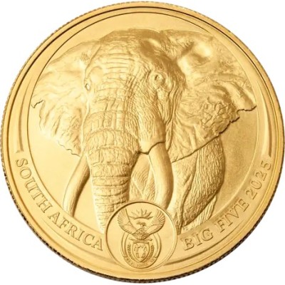 De fem stora elefanterna (2025) - 1 Oz - Guldmynt