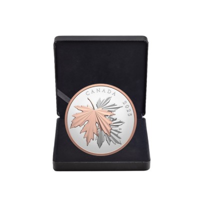 Glänsande lönnlöv - 10 Oz - Silver Samlarmynt (leverans 12.6.2025)