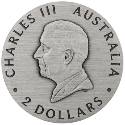 Bi (2025) - 2 Oz - Silver Samlarmynt