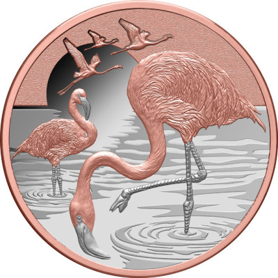 Flamingo (2025) - 1 Oz - Silver Collector Coin