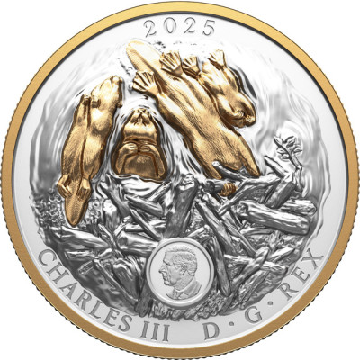 The Beaver (2025) - 100g - Silver Collector Coin