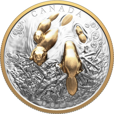 The Beaver (2025) - 100g - Silver Collector Coin