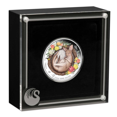 Baby Kangaroo (2021) - 1/2 Oz - Silver Samlarmynt