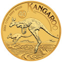 Australisk känguru (2026) - 1/4 Oz - guldinvesteringsmynt