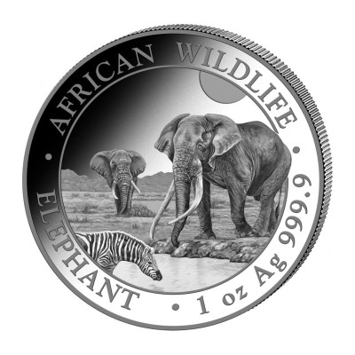 Afrikansk elefant (2026) - 1 Oz - Silverinvesteringsmynt