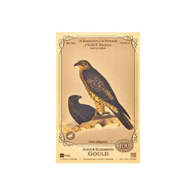 John och Elizabeth Gould Aurum - H.M.S. Beagle-samlingen