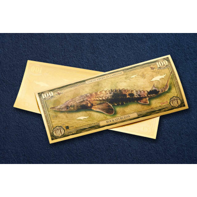 Rock Sturgeon - 24k guld sedel - Serie I