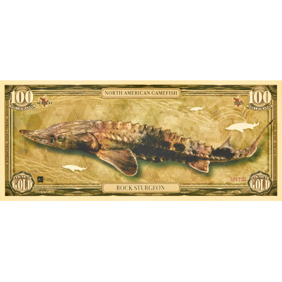 Rock Sturgeon - 24k guld sedel - Serie I